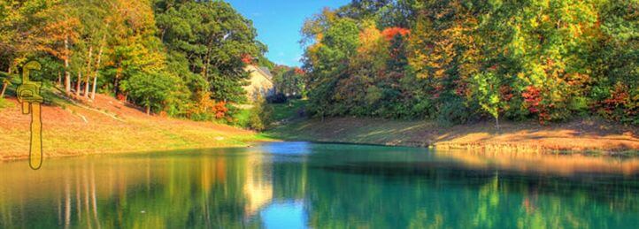 Trusted Plumbing and Water Solutions in Wildwood, MO