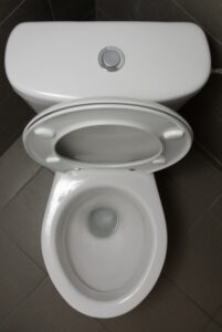 open-toilet-with-low-flow-button